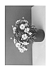 Argyranthemum%20frutescens%20%27SUN%20300%27
