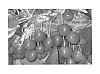 Prunus%20avium%20%2713S2101%27