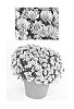 Chrysanthemum%20x%20morifolium%20%27Fireworks%20Igloo%27