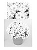 Chrysanthemum%20x%20morifolium%20%27Icicle%20Igloo%27