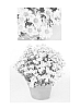 Chrysanthemum%20x%20morifolium%20%27Sizzling%20Igloo%27