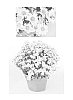 Chrysanthemum%20x%20morifolium%20%27Sizzling%20Igloo%27