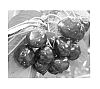 Prunus%20avium%20%27SPC136%27