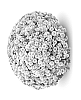 Chrysanthemum%20x%20morifolium%20%27Jasoda%20Dark%20Pink%20Imp%27