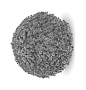 Chrysanthemum%20x%20morifolium%20%27Staviski%20Dark%20Red%27