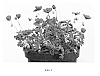 Geranium%20cinereum%20%27Noortpurple%27