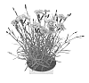 Dianthus%20sp.%20%27KLEDG13159%27