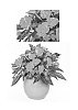 Impatiens%20hawkeri%20%27Kirocolete%27