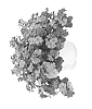 Bacopa%20hybrida%20%27Duebahbusa%27