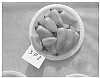Capsicum%20annuum%20PLANT%20NAMED%20%27SLP2B378%27