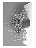 Campanula%20portenschlagiana%20%27Bkpcmpir%27