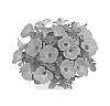 Petunia%20x%20hybrida%20%27Duepluhopi%27