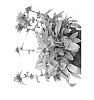 Campanula%20glomerata%20%27Chico%20Merano%27