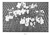 Impatiens%20hybrid%20hort%20%27SAKIMP036%27