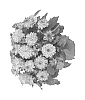 Dahlia%20variabilis%20%27Fidahhypteqsunrise%27