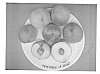 Peach%20Tree%20White%20Delight%20Three