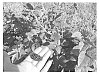 BLACKBERRY%20PLANT%20NAMED%20%27APF-236T%27