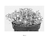 Delosperma%20cooperi%20%27DSAM13-1%27