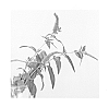 Veronica%20spicata%20x%20Veronica%20longifolia%20%27Candied%20Candle%27