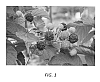 Rubus%20occidentalis%20%27Niwot%27