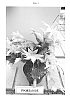 Schlumbergera%20truncata%20%28Haworth%29%20Moran%20hybr.%20%27PKMSchl05%27