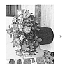 Rosa%20hybrida%20%27IntRos01%27