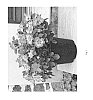 Rosa%20hybrida%20%27IntRos01%27