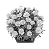 Dianthus%20caryophyllus%20%27Hilluigi%27