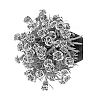 Dianthus%20caryophyllus%20%27Hilprot%27