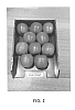Malus%20%27Pink%20Chief%27