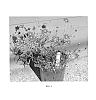Coreopsis%20hybrid%20%27Radioactive%27