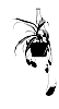 Nepenthes%20%27CANTNEPSUK%27