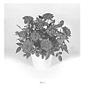 Rose%20hybrida%20%27KORpot040%27