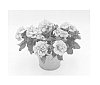 Petunia%20hybrida%20%27KLEPH14246%27