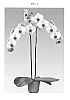 Phalaenopsis%20hybrida%20%27Double%20Delight%27