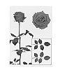 Rosa%20hybrida%20%27ESM%20R129%27