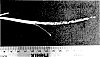 Stenotaphrum%20secundatum%20%28Walt.%29%20Kuntze%20%27DALSA%200605%27