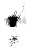 Tulbaghia%20violacea%20%27Savanna%20Lightning%27