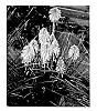 Kniphofia%20spp.%20%27TNKNIPR%27
