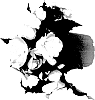 Begonia%20hybrida%20%27Fimissmo%27