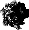 Pelargonium%20zonale%20x%20Pelargonium%20peltatum%20%27Genlical%27