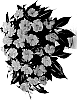 Impatiens%20hawkeri%20%27DHARSCLVDR%27