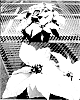 Euphorbia%20pulcherrima%20Willd.%20ex%20Klotzsch%20x%20Euphorbia%20cornastra%20%27Bonpri%20974%27