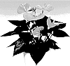 Anthurium%20andreanum%20L.%20%27ANTHDATAM%27