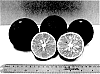 %5BCitrus%20reticulata%20x%20Citrus%20paradisi%29%2BCitrus%20grandis%5D%20x%20%5BCitrus%20reticulata%2BPoncirus%20trifoliata%20%28trifoliate%20orange%29%5D%20%27UFR-2%27