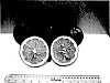 Citrus%20grandis%20x%20Citrus%20reticulata%20%27UFR-16%27