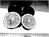 %5B%28Citrus%20reticulata%20x%20Citrus%20paradisi%29%2BCitrus%20grandis%5D%20x%20%5BCitrus%20reticulata%2BPoncirus%20trifoliata%20%28trifoliate%20orange%29%5D%20%27UFR-3%27