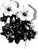 Hibiscus%20rosa-sinensis%20%27Xanthe%27