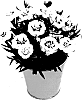 Dianthus%20caryophyllus%20%27KLEDP15180%27