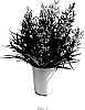 Penstemon%20barbatus%20%27Novapenrub%27